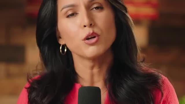 Tulsi Gabbard Defends The Second Amendment
