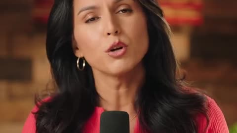 Tulsi Gabbard Defends The Second Amendment