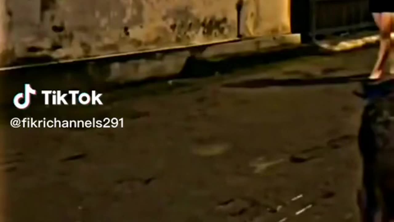 VIDEO LUCU TERBARU PART 3