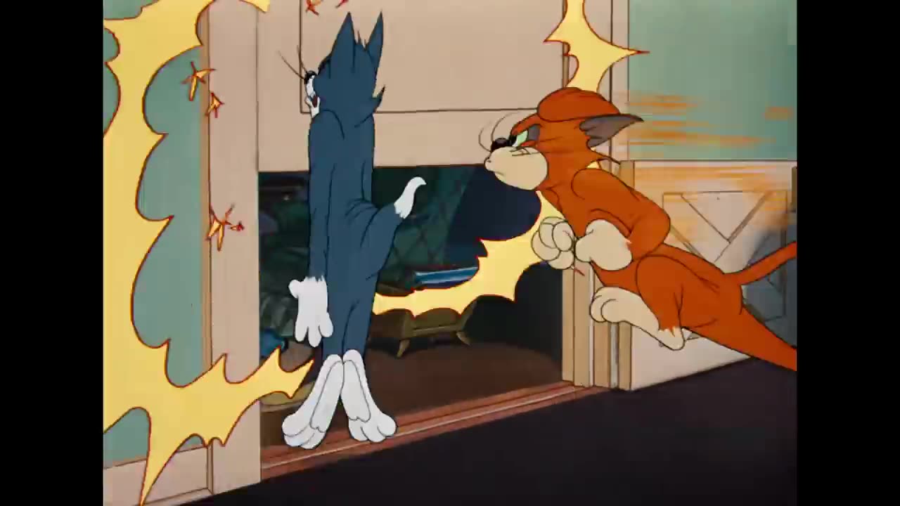 Tom and Jerry cartons network video please sapot