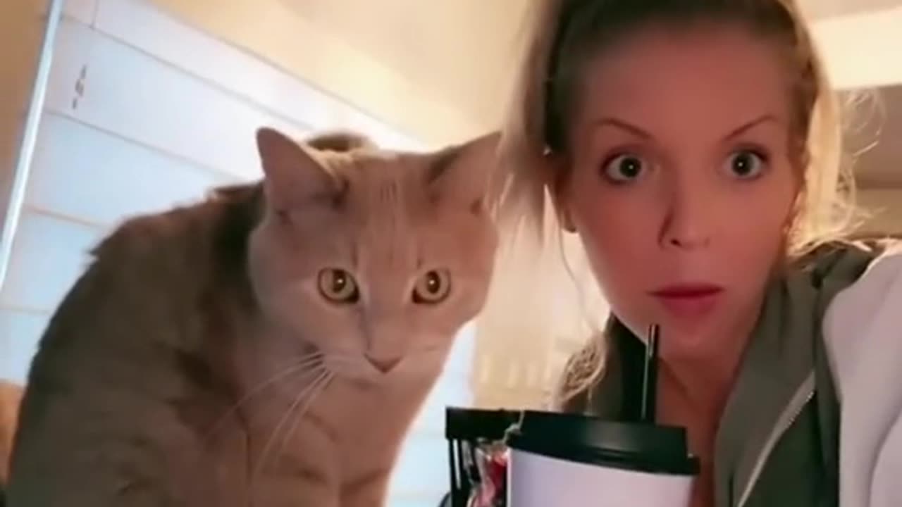 cat expression on selfie