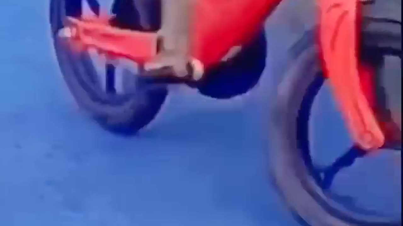 Funny moment of Monky riding