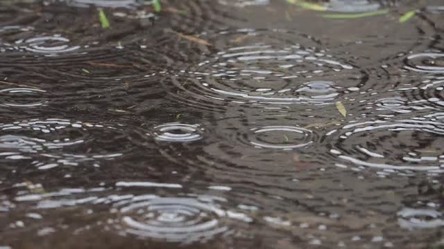 هطول المطر - Rain fall