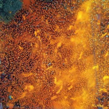 Exotic Getaways Unveiled: Your Next Adventure Awaits