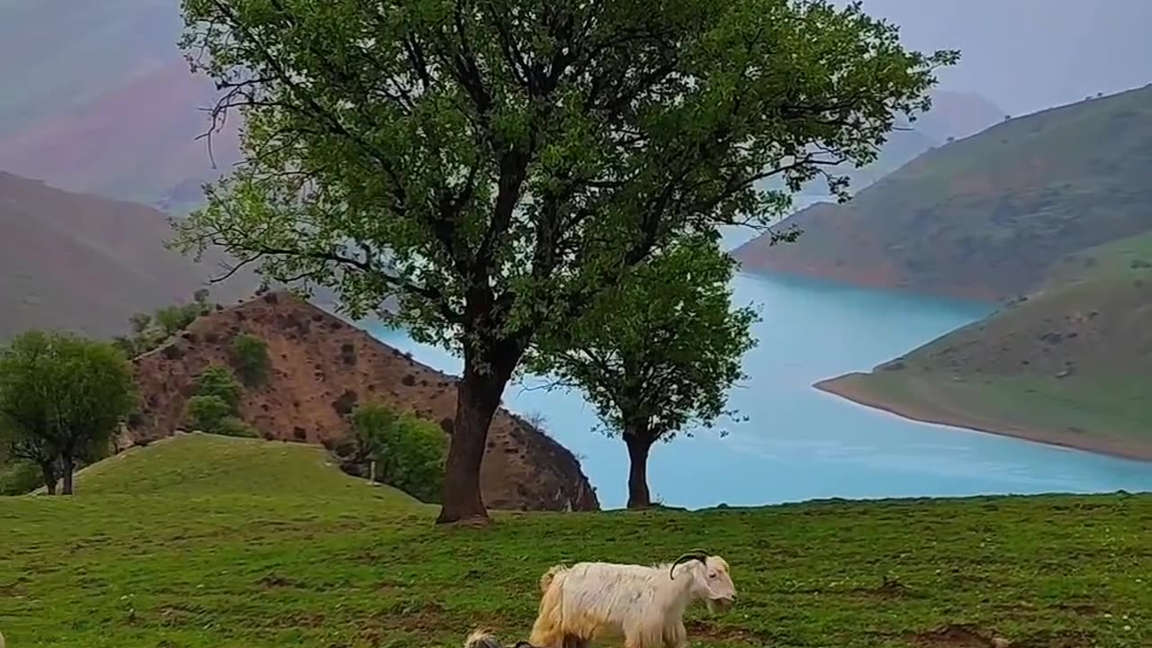 Iran, khoozestan, karoon, barez village