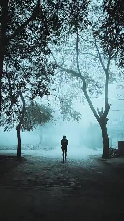 Snowfall ❄️ 🏔