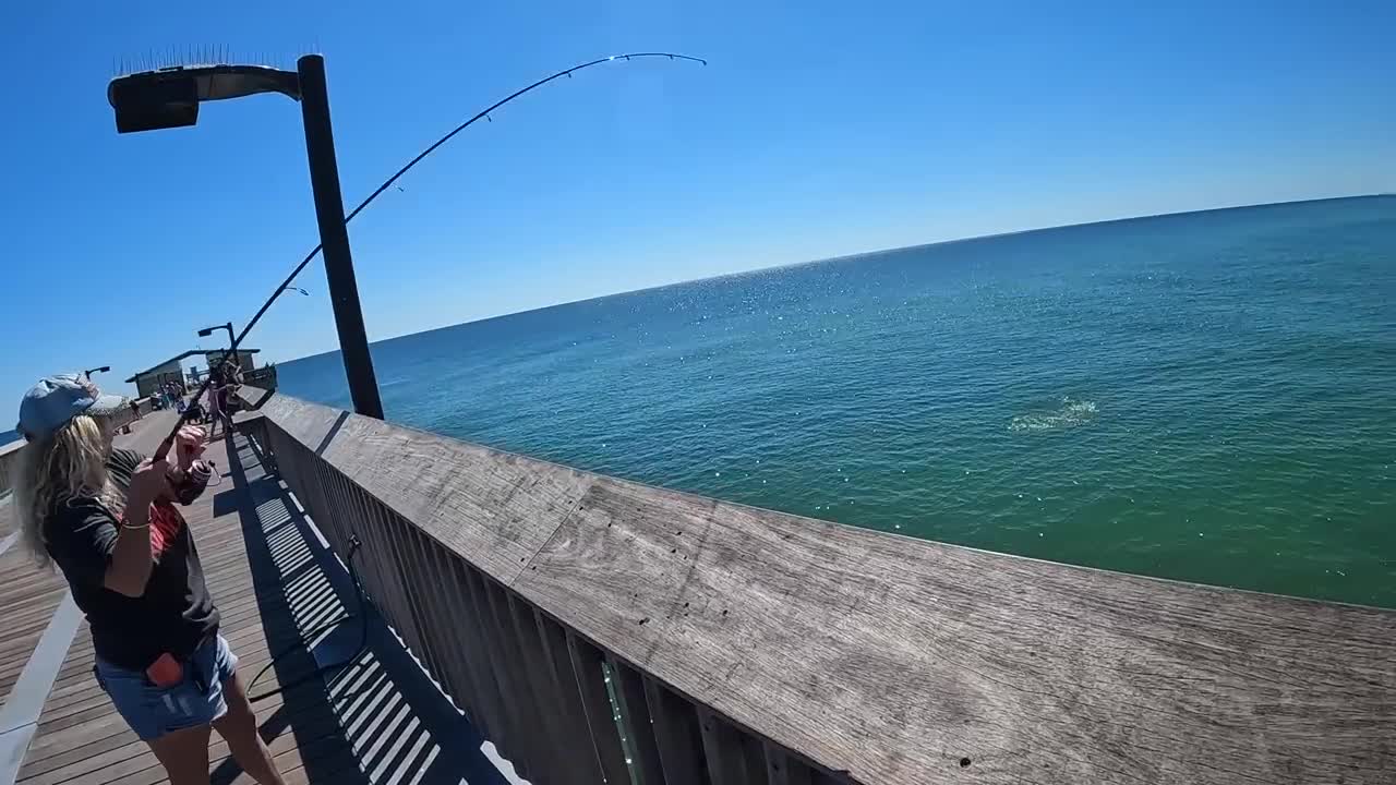 Saltwater PIER FISHING with Shrimp!