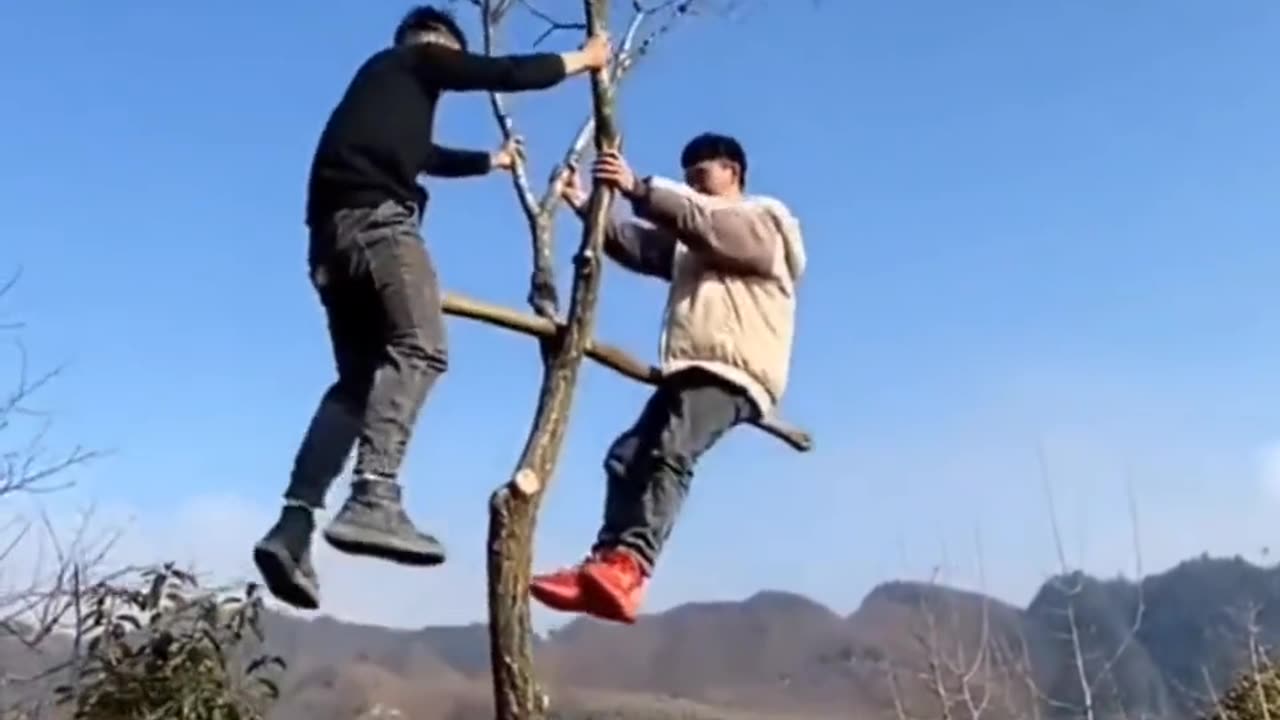 This content is so interesting, I want to share it with you, please open it and take a look!