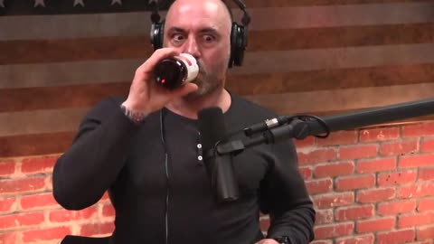 Joe Rogan MEETS JOE ROGAN?!