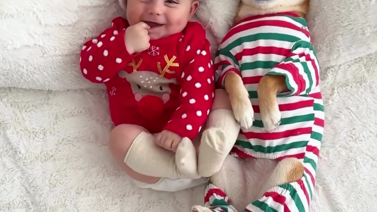 Cute & Funny Baby 😍😍😅😅 #shorts #reels #viral #baby #cutebaby #funnybaby #kids #babies