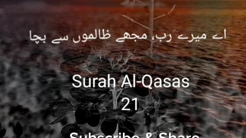 Pray to Allah|| Surah Al qasas (21) in beautiful Voice with urdu Translation