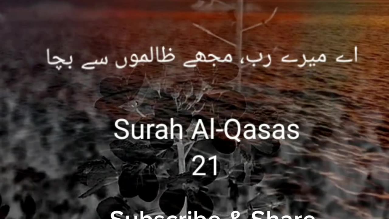 Pray to Allah|| Surah Al qasas (21) in beautiful Voice with urdu Translation