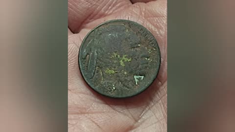 Buffalo Nickel Found