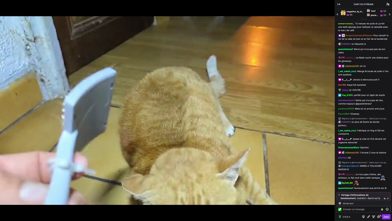 2023-05-15 (2bis.2) - Petit bonus brossage de Le Roux - Twitch Decheterie (version avec chat)