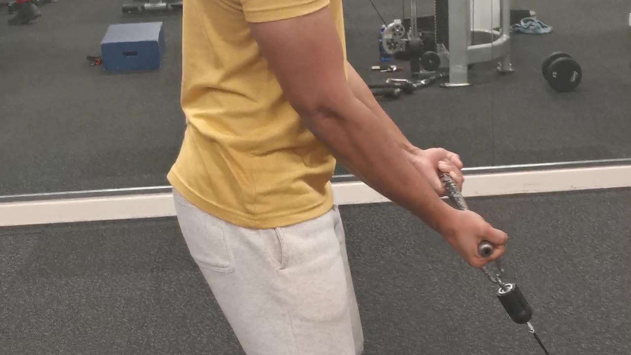 Mastering Cable Bicep Curls: Unleash Your Arm Definition