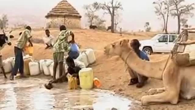 We could never run out of water. Water veins are everywhere below.