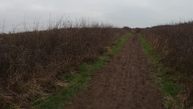 Path next to the coast. Speedlapse