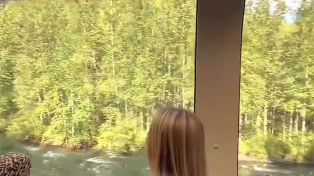 Amazing Nature