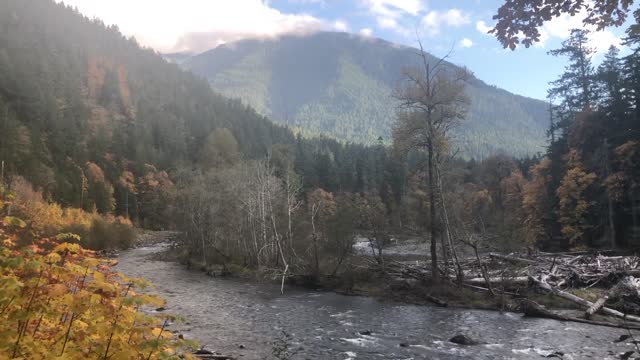 Olympic national park Washington state