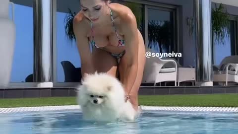 bikini super hot girl with is white DOG 1