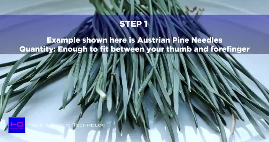 Dr. Judy Mikovits Ph.D - HOW TO MAKE PINE NEEDLE TEA FOR VACCINE ANTIDOTE