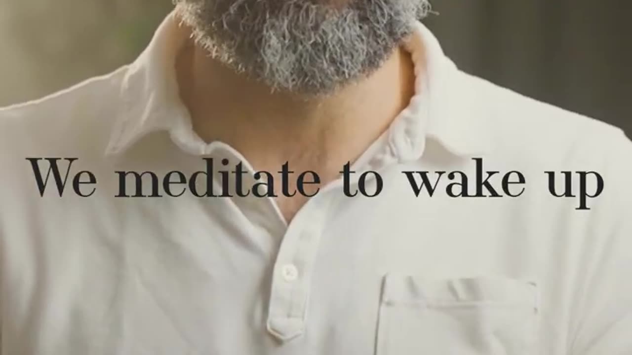 We meditate to wake up _ Pause™ with Dr. Benji Epstein _