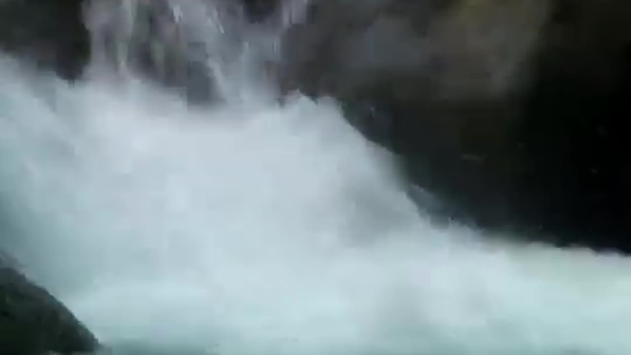 Survival Tricks