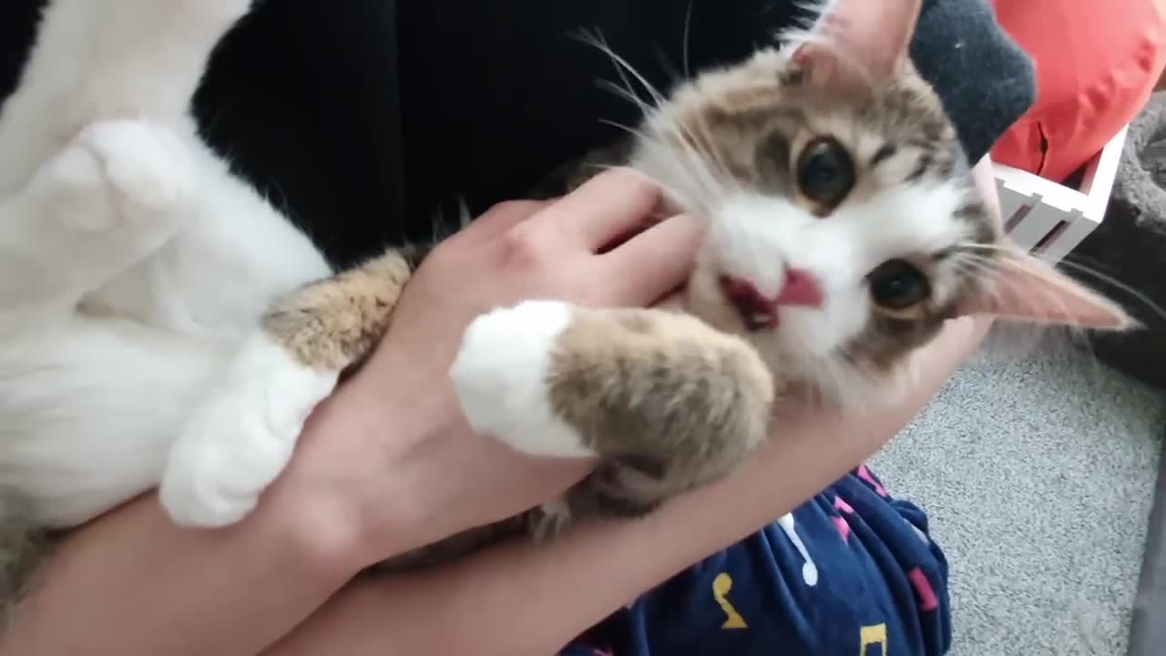 His white gloves!