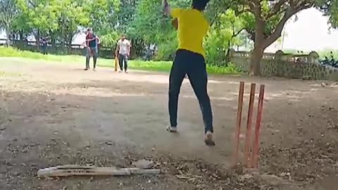 Playing cricket