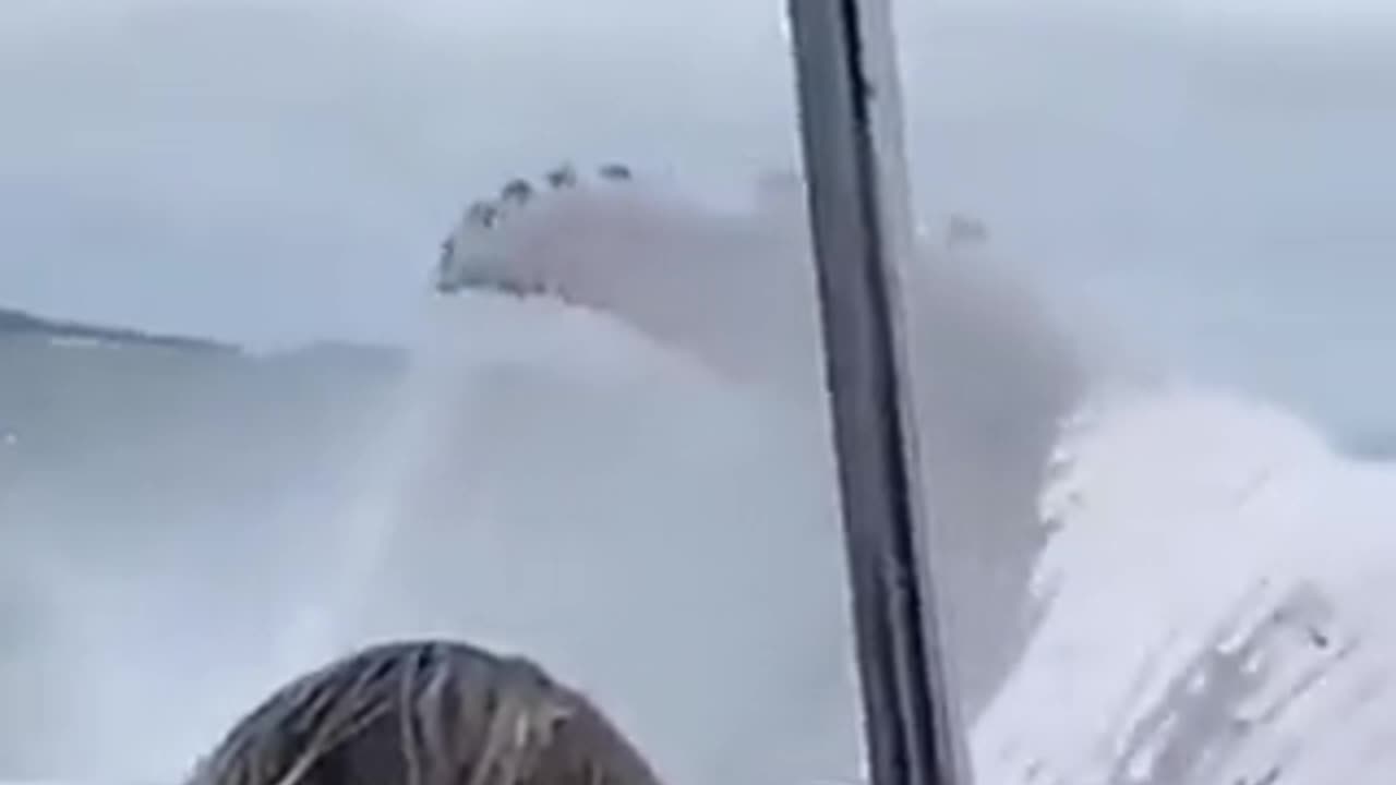 Whale Breach