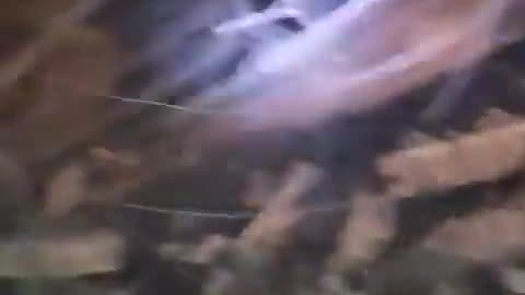 JUST IN: Footage from the scene of the airstrike in Khan Younis, Gaza.
