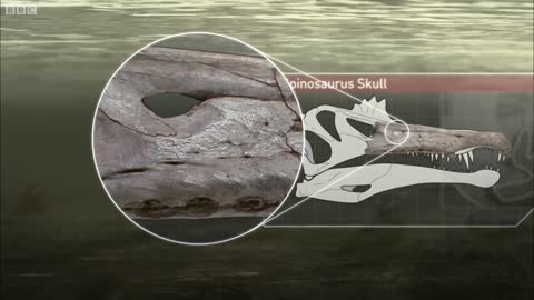 Spinosaurus Fishes for Prey _ Planet Dinosaur _ BBC Earth