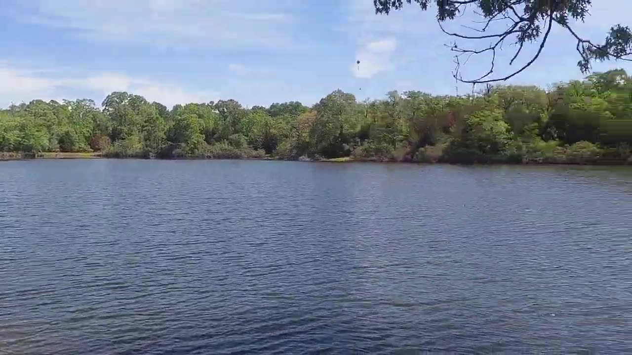 Fort Boggy State Park, Texas