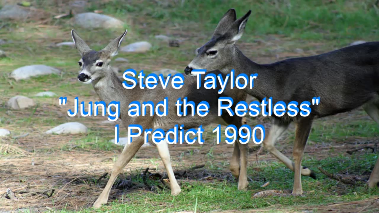 Steve Taylor - Jung and the Restless #20