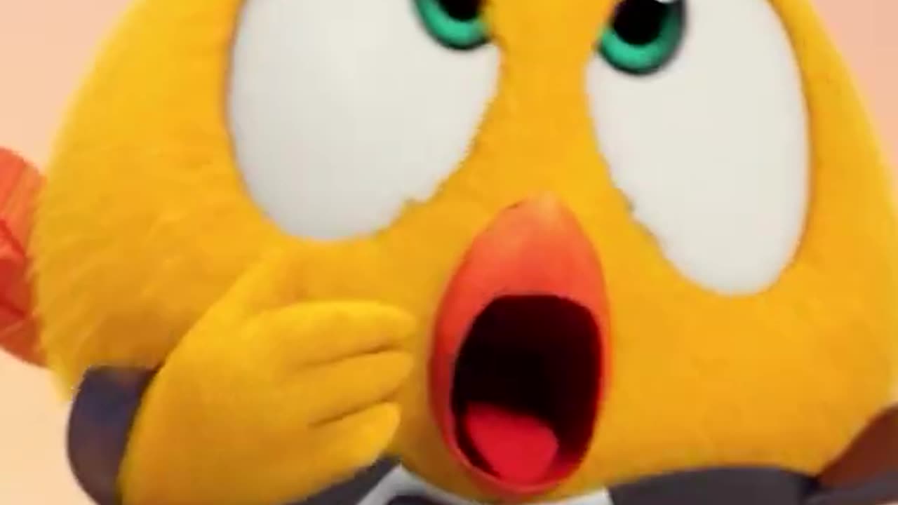 #SHORTS CHICKY