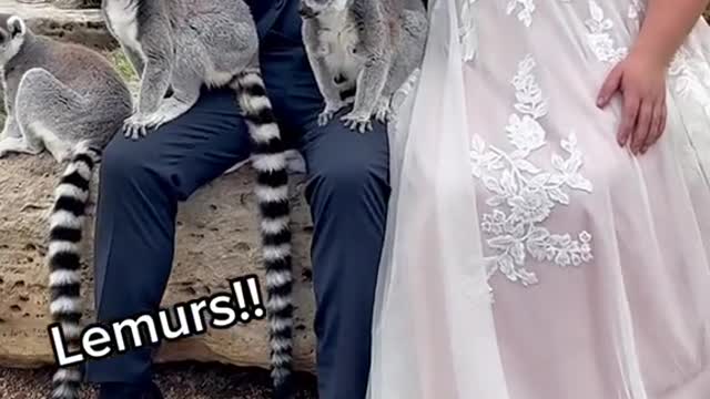 Did YouKnow ThatYouCanHaveTHESEGuestsatYourWedding???