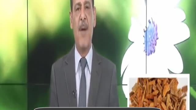 فوائد القرفة لخبير الأعشاب حسن خليفة