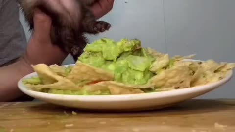 type as many letters please 🥺