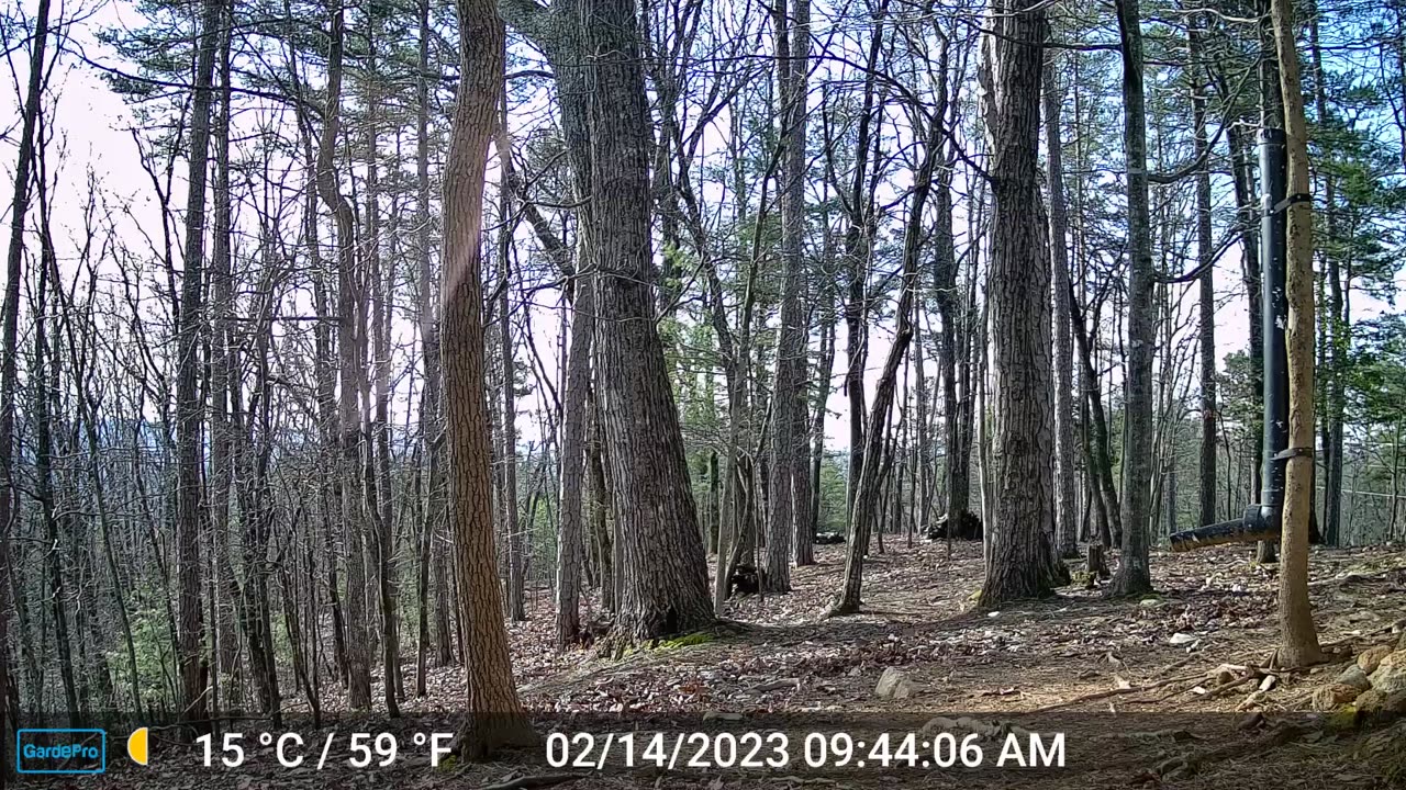 The Woods – 02/15/2023