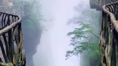 Nature Short video
