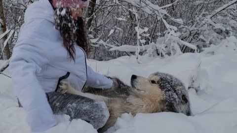 Woman playing with dog in the snow