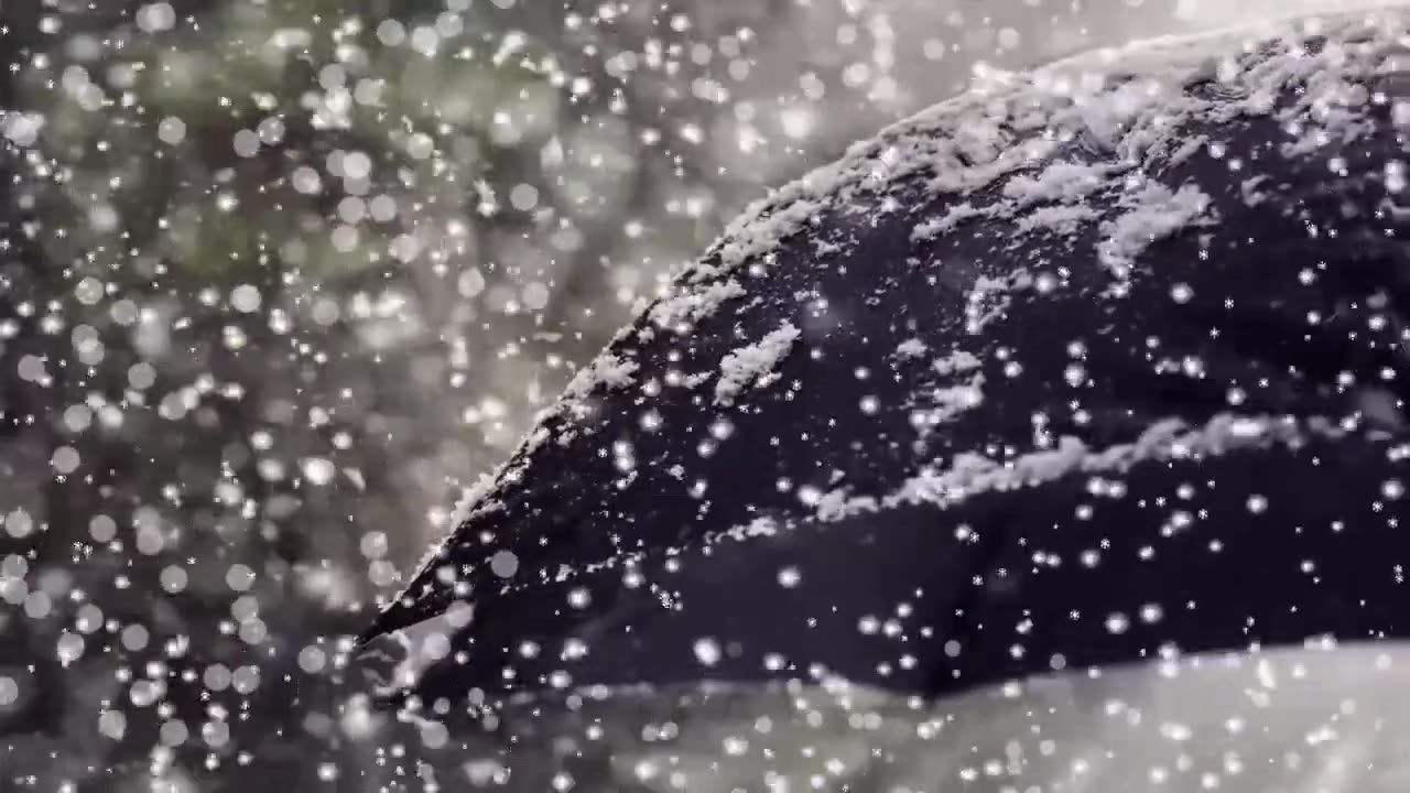Relaxing Snowfall 10 min - Sound of Light Wind Breeze and Falling Snow