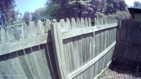 WOOD CHIPPIN PART 3