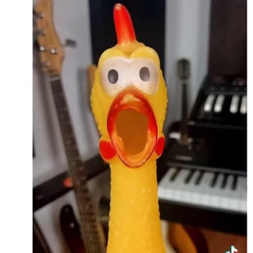 Squeaky Chickens🐔🐸