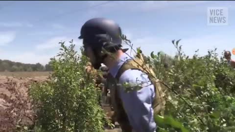 Ukraine escalating to the war. Government appeal for ceasefire, but...