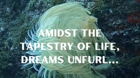 Amidst The Tapestry of Life - Life Quote