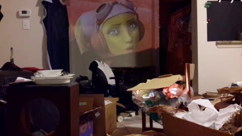 PROJECTORdisnBald