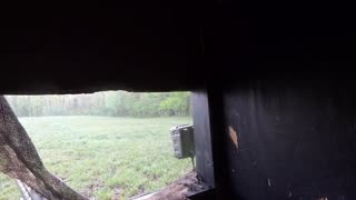 Kentucky Turkey Hunting 2023