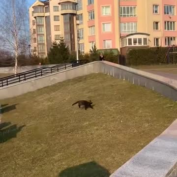 Curiosity strikes again.