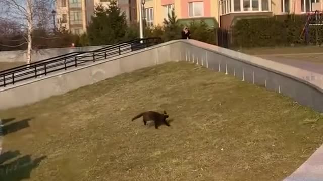 Curiosity strikes again.